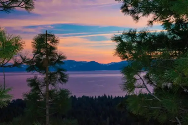 Tahoe Chaparral 10