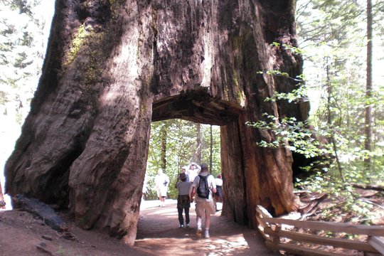 Tour image 2