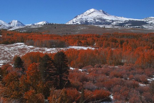 Tour image 8